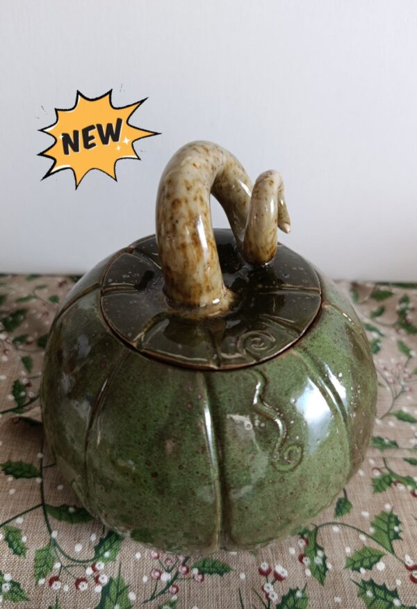 2025/10/1000002066.jpg Boîte à Citrouille magique