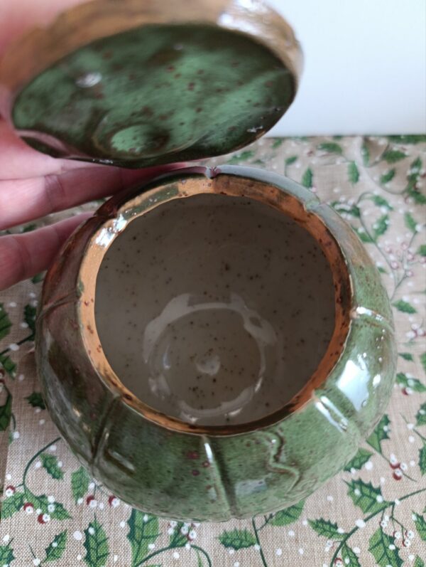 2025/10/JPEG_20251027_163032_5145287444548162121.jpg Boîte à Citrouille magique